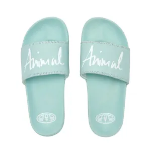 Animal Womens Pinkie Slider  - Harbour Green