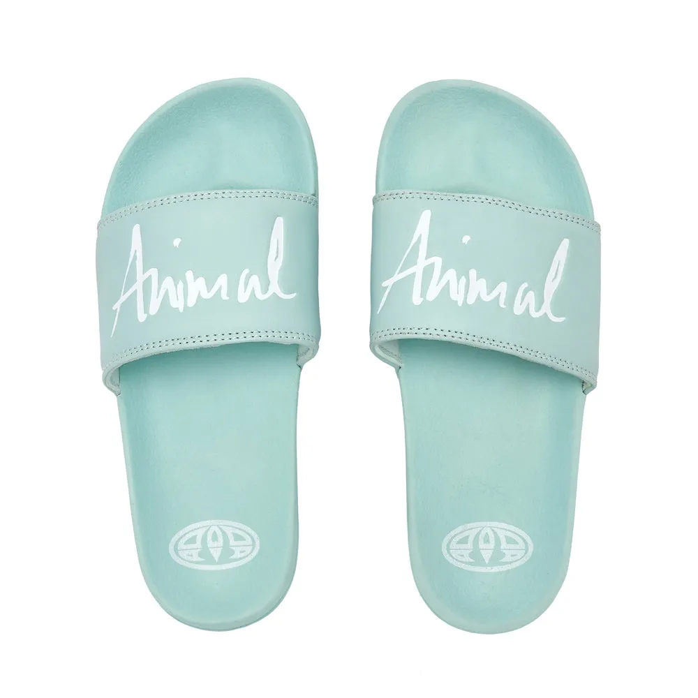 Animal Womens Pinkie Slider  - Harbour Green