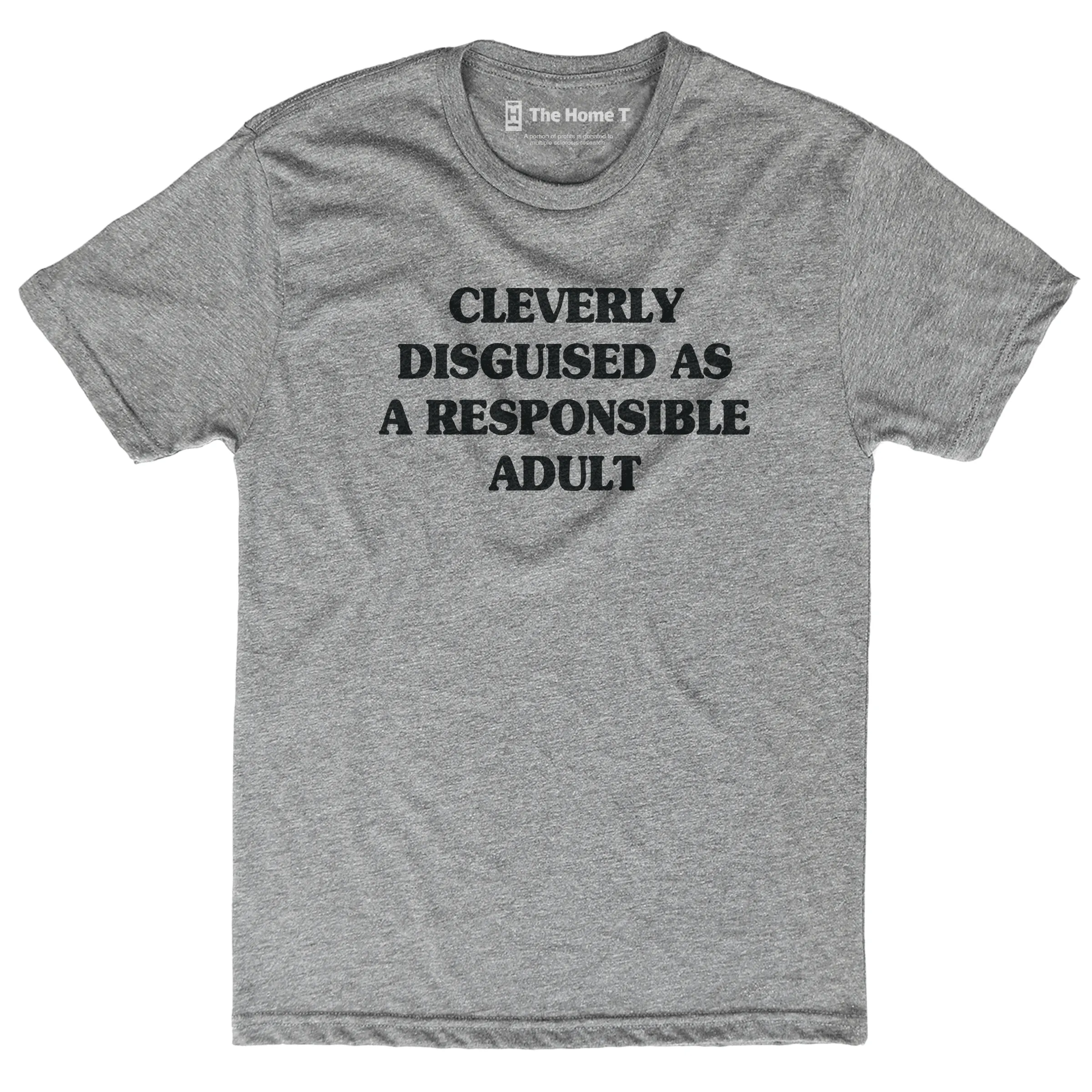 Cleverly Disguised as a Responsible Adult