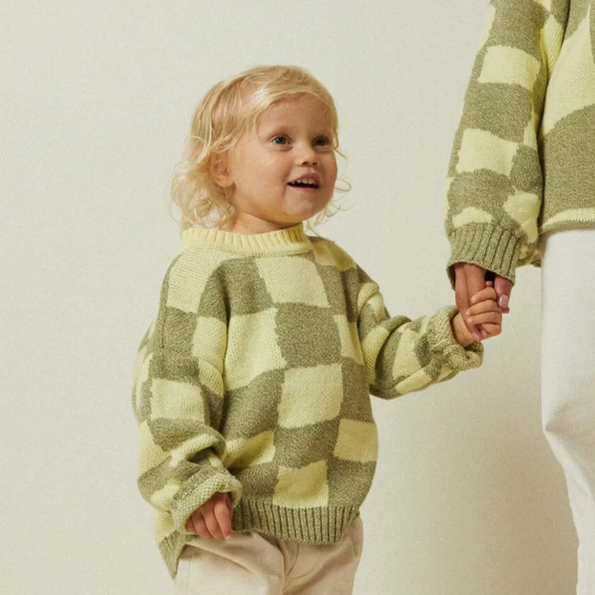 Phoenix Checked Knit Kiwi Sweater